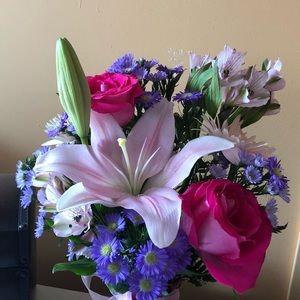 Meet your Posher, Erica